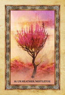 Cofanetto: Oracolo dell'Albero Celtico - Celtic Tree Oracle - 4