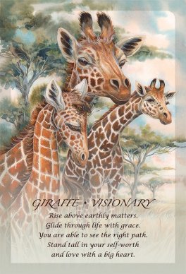 Cofanetto Spirit of the Animals Oracle - Oracolo: Spirito degli Animali - 3