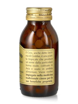 Coix Lacryma-Jobi - 2
