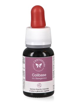Colibase - Mix Basegemmo - 2