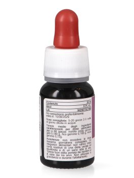 Colibase - Mix Basegemmo - 4