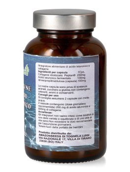 Collagene e Acido Ialuronico - 2