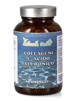 Collagene e Acido Ialuronico - 1