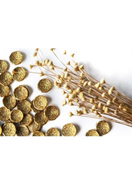 Collana in Oro Vegetale Capim Dourado con Sfere - 3