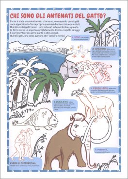 Colora in Grande - il Tuo Gatto — Libro - 3