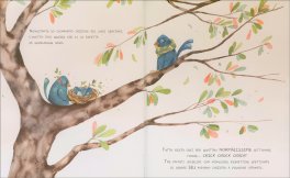 Colorenò — Libro - 3