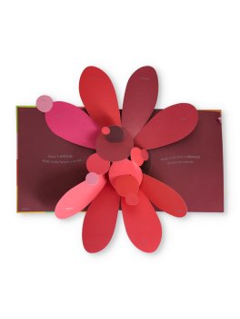 Colori! — Libro - 4