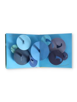 Colori! — Libro - 2