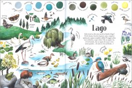 Colori degli Habitat — Libro - 3