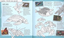 Colorpedia degli Animali — Libro - 3