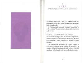Colors — Libro - 3
