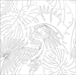 Colouring Book - Giungla — Libro - 3