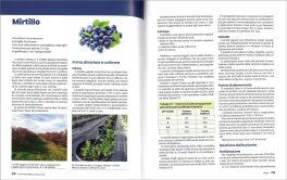 Coltivare Alberi da Frutto Bio — Libro - 3