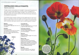 Coltivare Giardini in Miniatura — Libro - 3