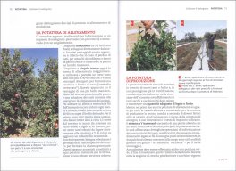 Coltivare il Melograno — Libro - 3