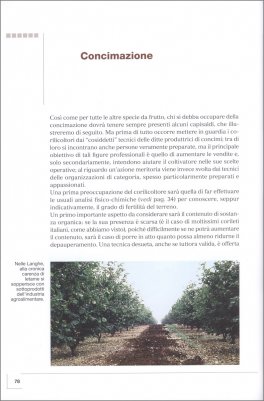 Coltivare il Nocciolo — Libro - 3
