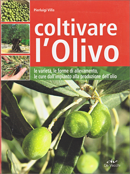 Coltivare l'Olivo — Libro - 1