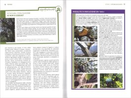Coltivare l'Olivo — Libro - 3