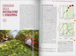 Coltivare la Vite — Libro - 3