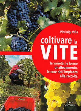 Coltivare la Vite — Libro - 1