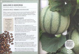 Coltivare Piante dal Seme — Libro - 3