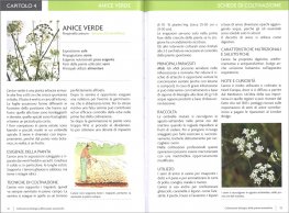 Coltivazione Biologica delle Piante Aromatiche — Libro - 3