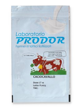 Coltura Starter per Formaggio Caciocavallo - 1