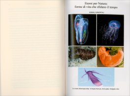 Comandare le Cellule — Libro - 3