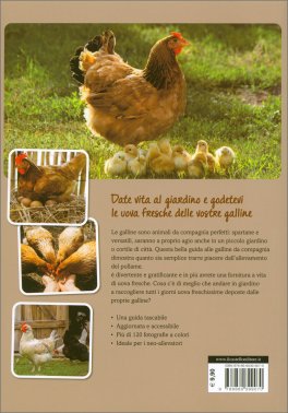 Come Allevare Galline Felici — Libro - 2
