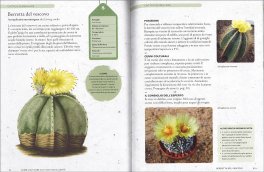Come Coltivare Cactus e Succulente — Libro - 3
