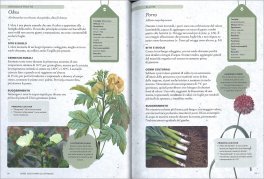 Come Coltivare gli Ortaggi — Libro - 3