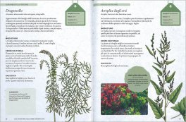 Come Coltivare le Erbe Aromatiche — Libro - 3