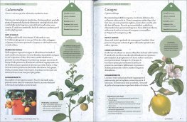 Come Coltivare le Piante da Frutto — Libro - 4