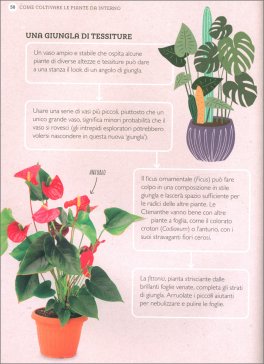 Come Coltivare le Piante da Interno — Libro - 4