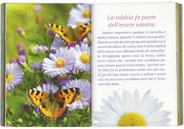Come Guarire un Cuore che Soffre  — Libro - 1