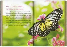 Come Guarire un Cuore che Soffre  — Libro - 2