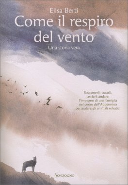 Come il Respiro del Vento — Libro - 1