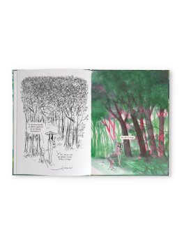Come Nascono gli Alberi — Libro - 3