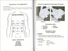 Come Pulire il Fegato e la Cistifellea dai Pre-Calcoli Gelatinosi e dai Calcoli Già Calcificati — Libro - 3