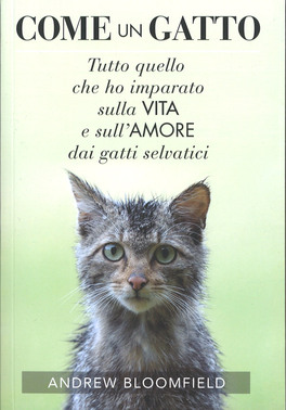 Come un Gatto — Libro - 1
