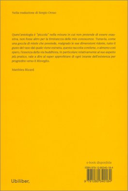 Come una Goccia di Miele — Libro - 2
