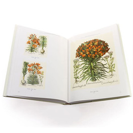 Commentarium - Hortus Eystettensis — Libro - 5