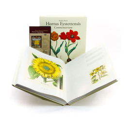 Commentarium - Hortus Eystettensis — Libro - 3