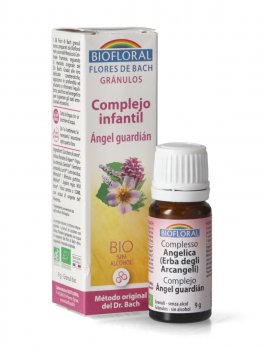 Complesso Bambino - Angelica (Erba degli Arcangeli) - 4