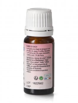 Complesso Bambini - Piccoli Iperattivi - 2