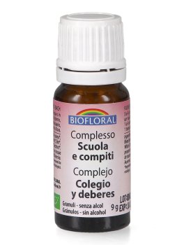Complesso Bambino - Scuola e Compiti - 1