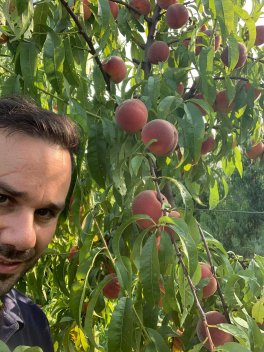 Composta 100% Pesche Bio - 5