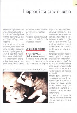 Comprendere il Linguaggio del Cane — Libro - 4