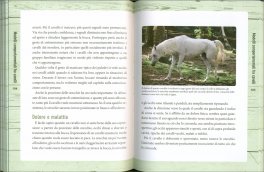Comunicare con il Cavallo — Libro - 3