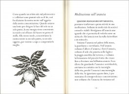 Concentrazione e Consapevolezza — Libro - 3